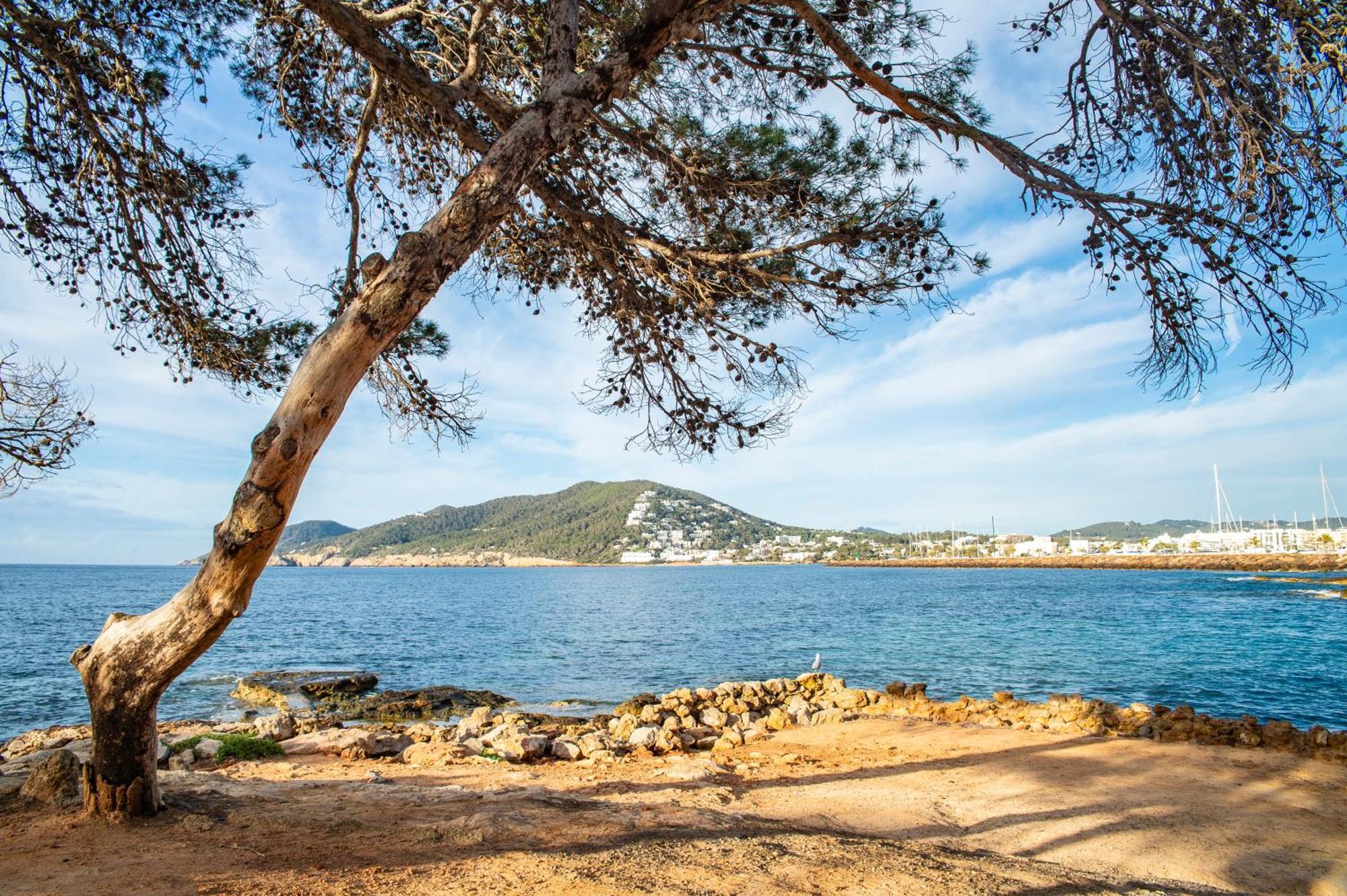 Pierre & Vacances Ros Ibiza Santa Eulària des Riu Kültér fotó